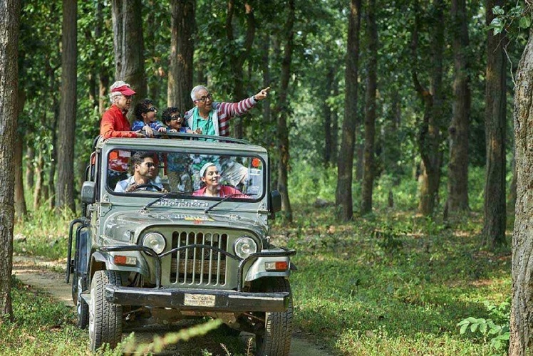 Jungle Safari adventure at Dandeli